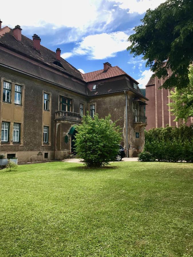 Apartment Im Gruenen Leoben  Zewnętrze zdjęcie